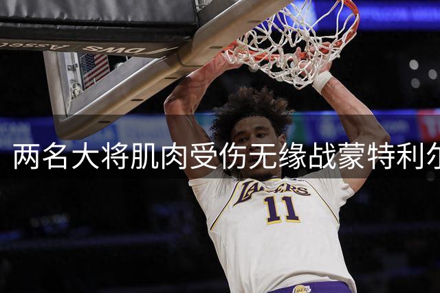 两名大将肌肉受伤无缘战蒙特利尔，一人肩伤未愈继续休战